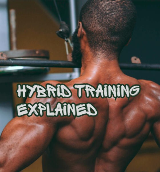 Hybrid Training Explained | Combining Strength, Cardio, and Mobility